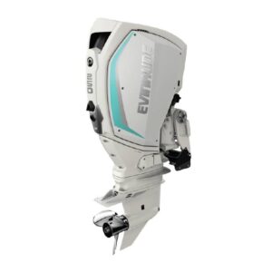 2020 Evinrude 250 HO H250HGXF For Sale – 25 in. Shaft