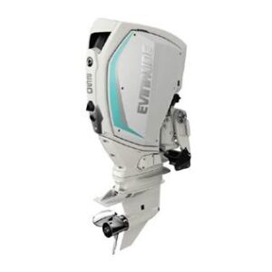 2020 Evinrude 250 HO H250WXCA For Sale  – 25 in. Shaft