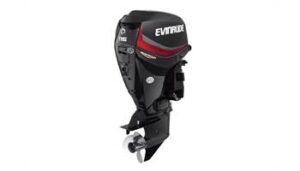 2019 Evinrude 115HP E115GNL For Sale - 20 in. Shaft