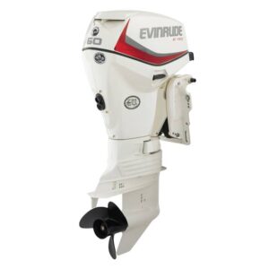 2019 Evinrude 60 HO E60HSL For Sale – 20 in. Shaft