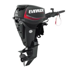 2019 Evinrude 25HP E25DRG For Sale – 15 in. Shaft