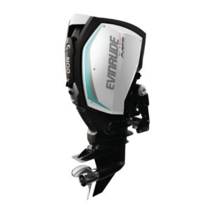 2019 Evinrude 200 HO H200AXC For Sale – 25 in. Shaft