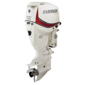 2019 Evinrude 15 HO E15HPSX For Sale – 25 in. Shaft